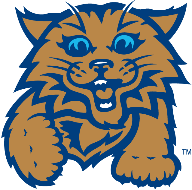 Villanova Wildcats 2004-Pres Misc Logo iron on transfers for fabric